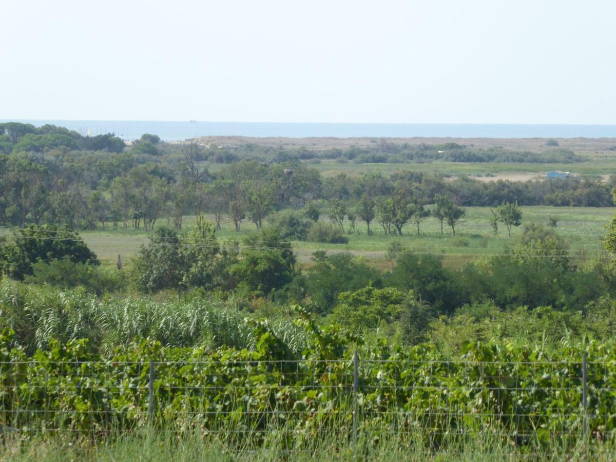 Gite Des Jonquies, Au Calme Vue Sur Le Canal Du Midi Et La Mer 波尔蒂拉盖 外观 照片